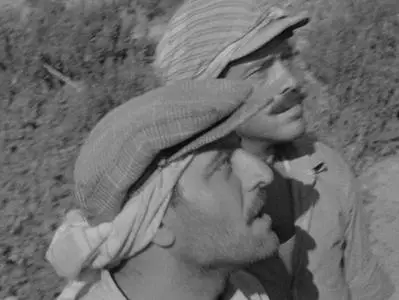 Susuz Yaz (1963)