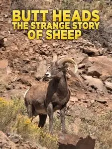 NG. - Butt Heads: The Strange Story of Sheep (2020)