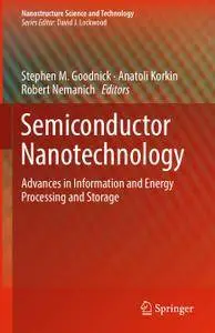 Semiconductor Nanotechnology: Advances in Information and Energy Processing and Storage (Repost)
