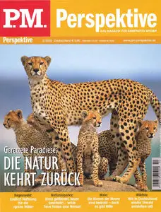 P.M. Perspektive 02/2005