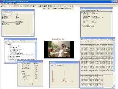 H264Visa v1.14 