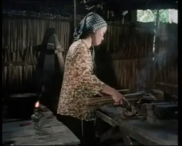 Vietnam et Cambodge le riz et les fusils (1993)