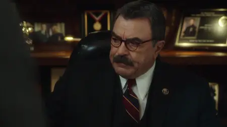 Blue Bloods S09E14