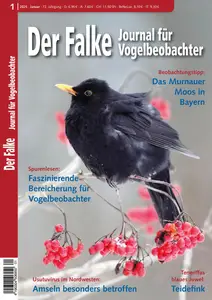 Der Falke Journal für Vogelbeobachter - Januar 2025