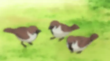 Natsume Yuujinchou 11 (BD 1920x1080 x264 FLAC