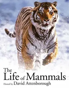 BBC The Life of Mammals (2002)