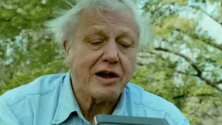 BBC The Life of Mammals (2002)