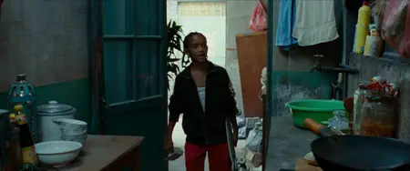 The Karate Kid (2010)