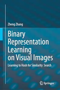 Binary Representation Learning on Visual Images: Learning to Hash for Similarity Search