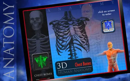 3D Chest Bones v1.0 Mac OS X