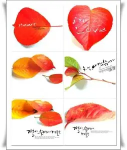 Leaves Vectors