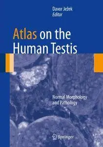 Atlas on the Human Testis: Normal Morphology and Pathology(Repost)