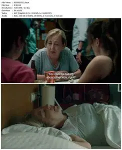 The Volunteer (2022)