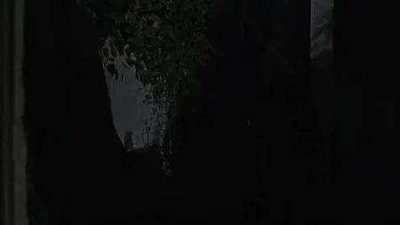 Poldark S04E05