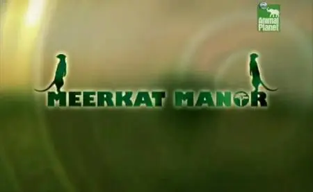 Animal Planet - Meerkat Manor (Поместье сурикатов) - The Enemy Within (Внутренний враг)
