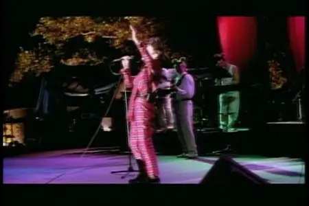 Annie Lennox - Live in Central Park (2000)