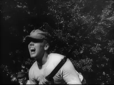 Der gewoehnliche Faschismus (1965)