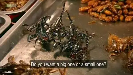 BBC - Can Eating Insects Save the World? (2013)