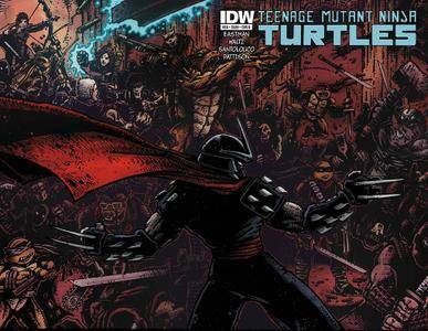 Teenage Mutant Ninja Turtles #24-28