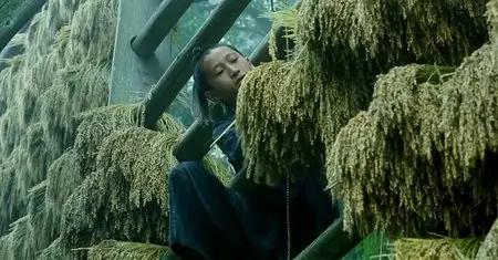 Lala's Gun (2008)