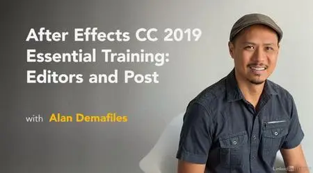 After Effects CC 2019 Essential Training: Editors and Post