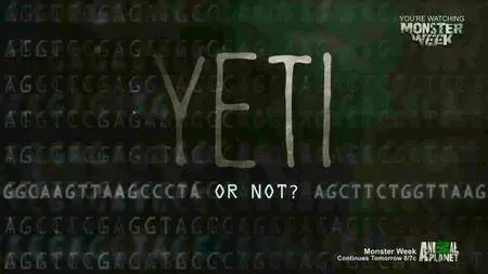 Yeti or Not (2016)