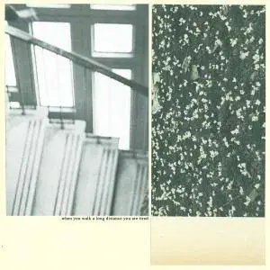 Mothers - When You Walk a Long Distance You Are Tired (2016)