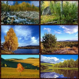 Autumn in Siberia - Desktop Wallpapers