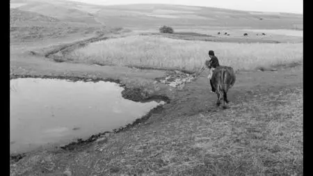 The Cow (1969)