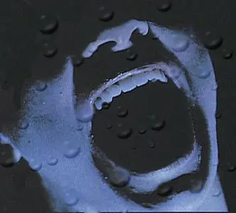 Heart - Greatest Hits (1998)