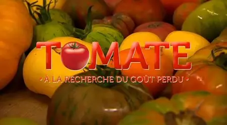 (Fr5) Tomate, à la recherche du goût perdu (2014)