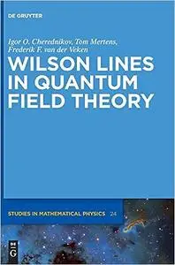 Wilson Lines in Quantum Field Theory