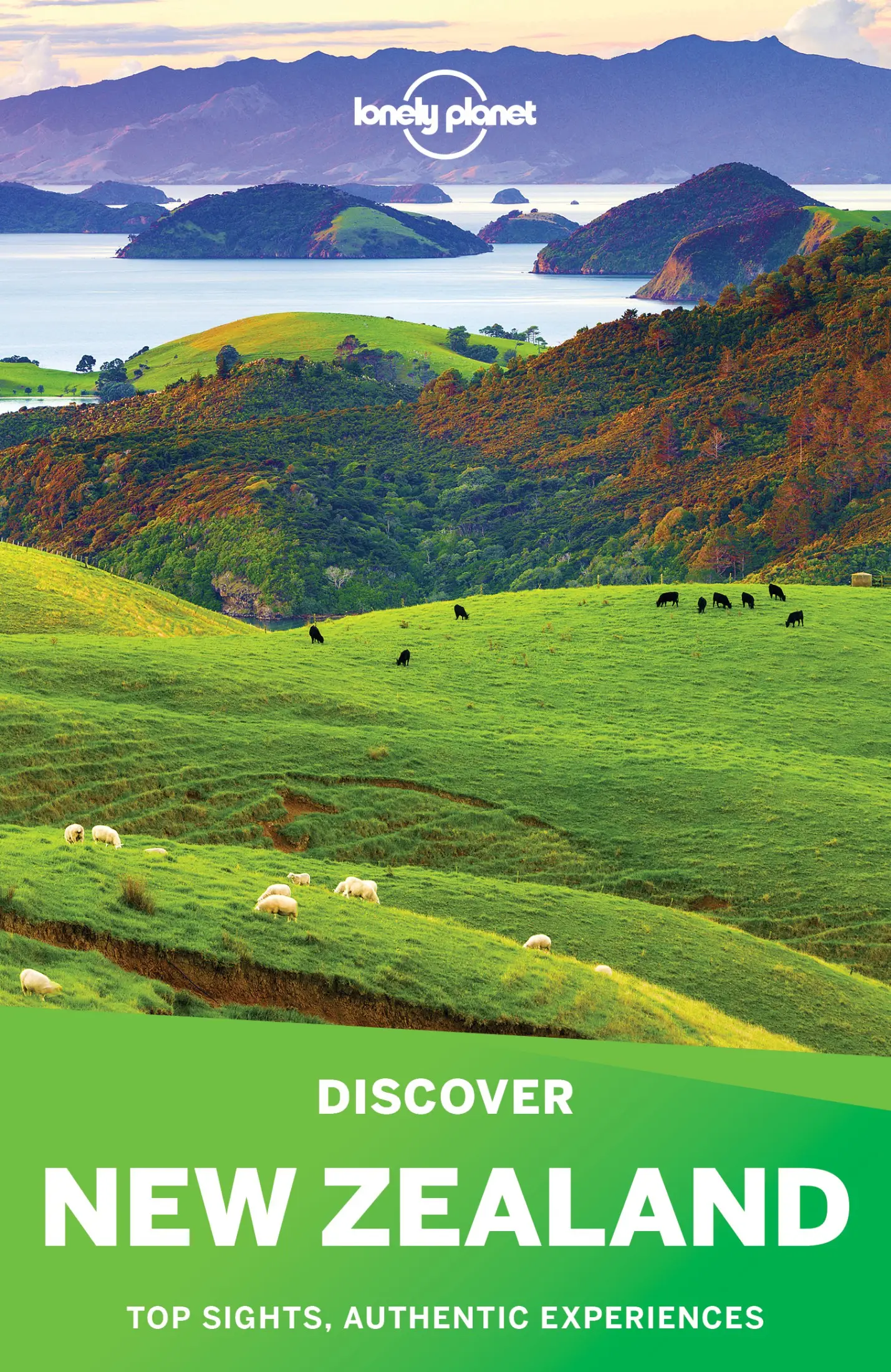 new zealand travel lonely planet