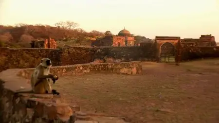 Fascinating India (2014)