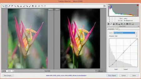 Photoshop CC 2014: Nondestructive Exposure and Color Correction