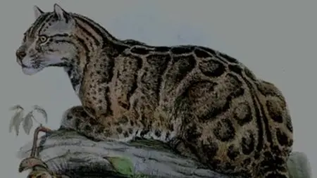 Extinct or Alive S01E07