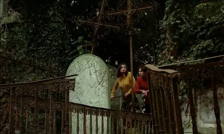 Iron Rose / La rose de fer (1973)