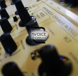 Pete Namlook - 4Voice II-III (1998-2000)