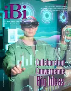 IBI - January 2019