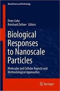Biological Responses to Nanoscale Particles: Molecular and Cellular Aspects and Methodological Approaches