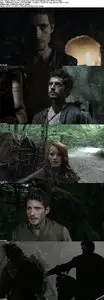 Dragonheart 3: The Sorcerer's Curse (2015) 