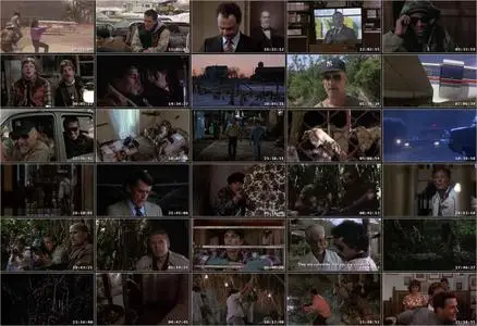 Let's Get Harry (1986)