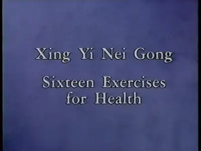 Xing Yi Nei Gong: Xing Yi Health Maintenance and Internal Strength Development