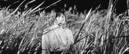 Onibaba (1964) [w/Commentary]