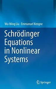 Schrödinger Equations in Nonlinear Systems (Repost)