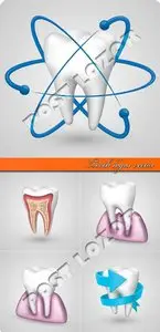 Tooth logos vector
