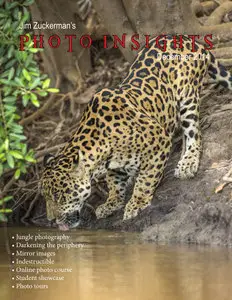 Photo insights - December 2014 