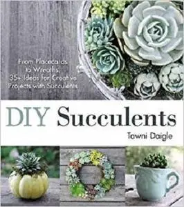 DIY Succulents: From Placecards to Wreaths, 35+ Ideas for Creative Projects with Succulents