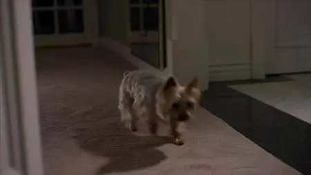 Hunt for the Labyrinth Killer (2013)