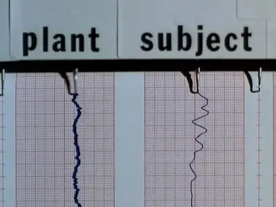 The Secret Life of Plants (1979)